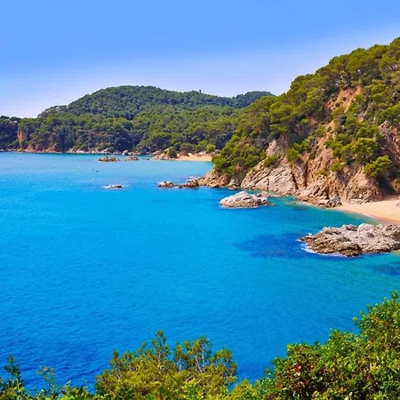 Costa Brava 22 リョレート・デ・マル